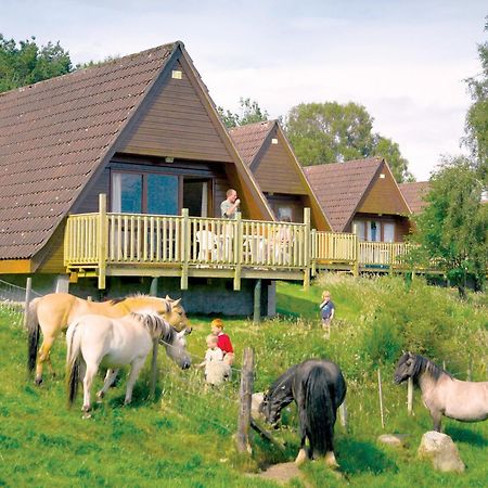 Delny Highland Lodges Invergordon Exterior foto