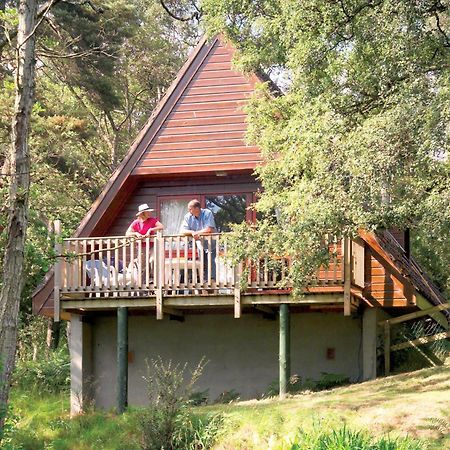 Delny Highland Lodges Invergordon Exterior foto