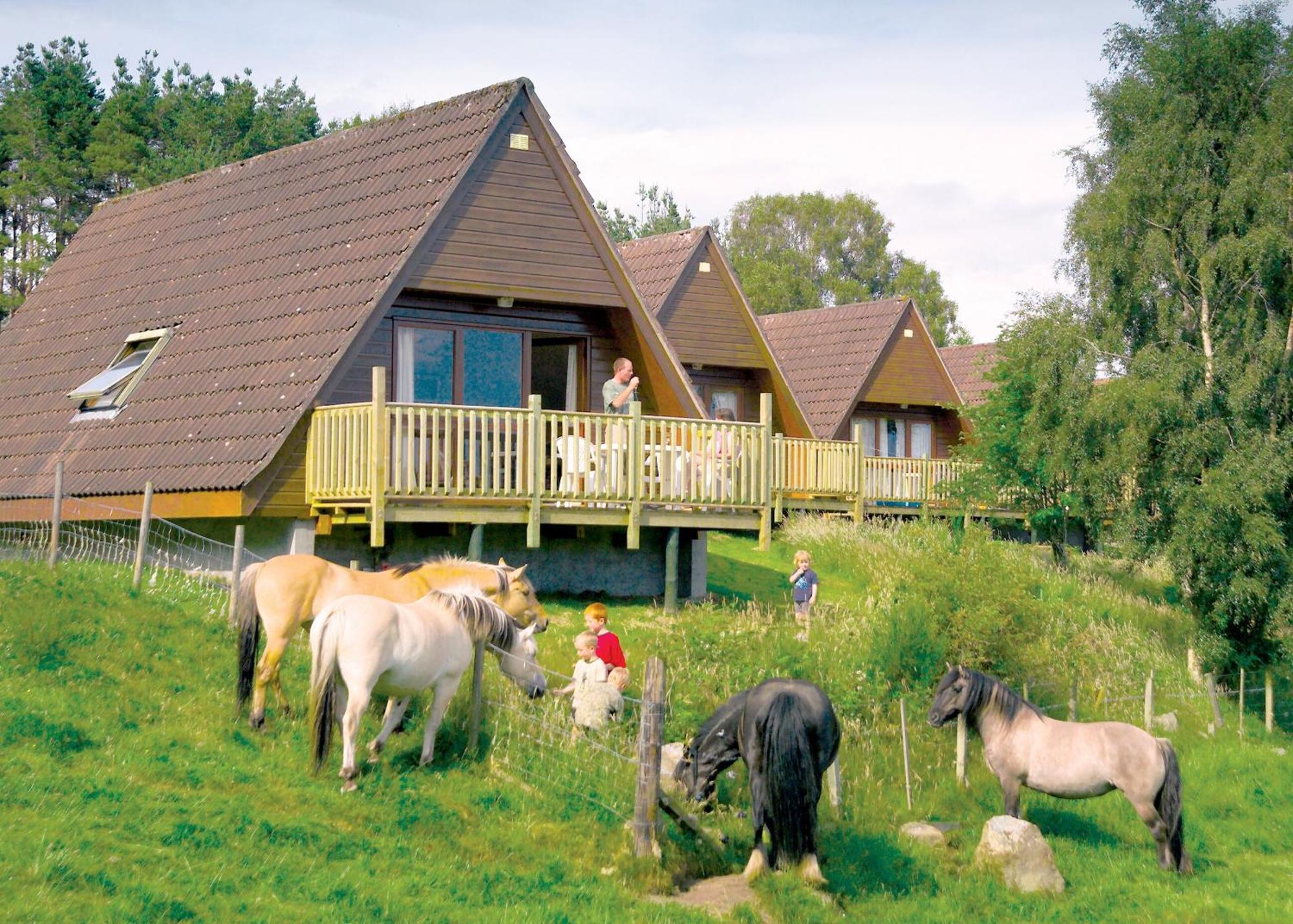 Delny Highland Lodges Invergordon Exterior foto